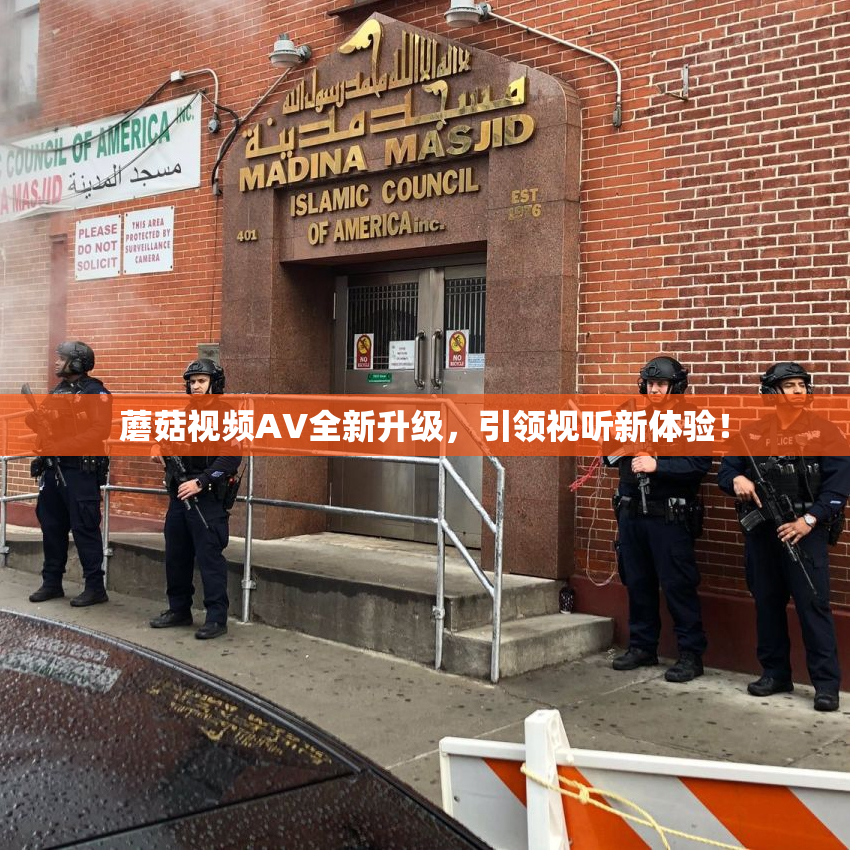 蘑菇视频AV全新升级，引领视听新体验！