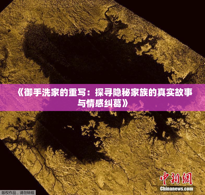 《御手洗家的重写：探寻隐秘家族的真实故事与情感纠葛》