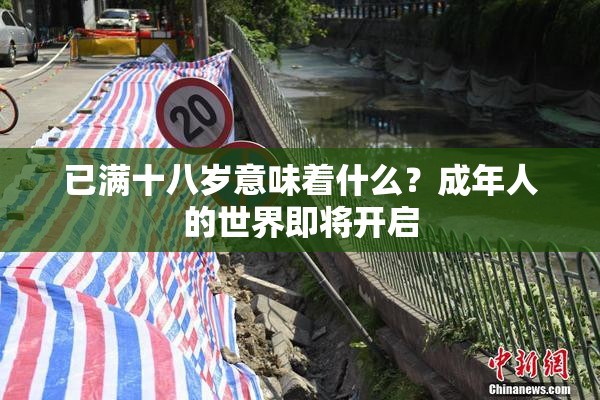 已满十八岁意味着什么？成年人的世界即将开启