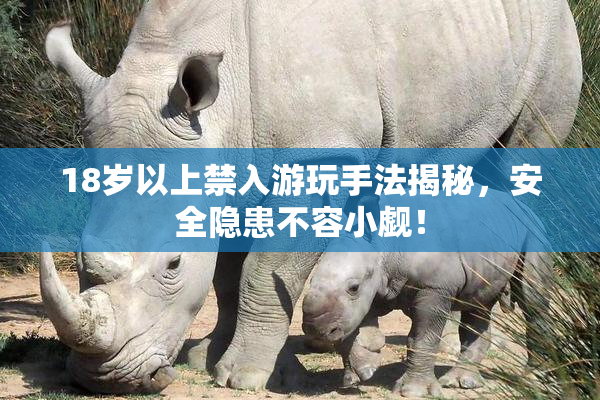 18岁以上禁入游玩手法揭秘，安全隐患不容小觑！