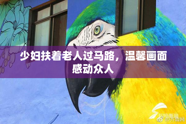 少妇扶着老人过马路，温馨画面感动众人