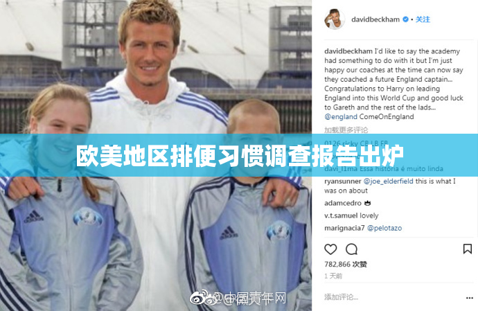 欧美地区排便习惯调查报告出炉