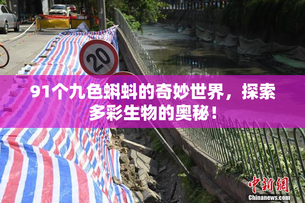 91个九色蝌蚪的奇妙世界，探索多彩生物的奥秘！