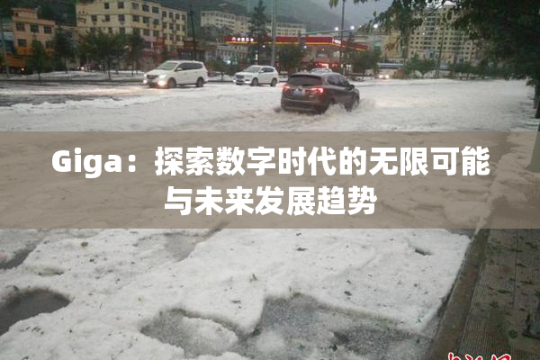 Giga：探索数字时代的无限可能与未来发展趋势