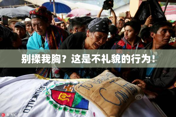 别揉我胸？这是不礼貌的行为！