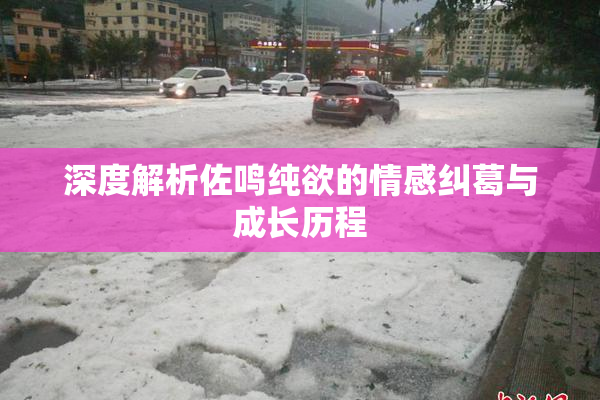 深度解析佐鸣纯欲的情感纠葛与成长历程
