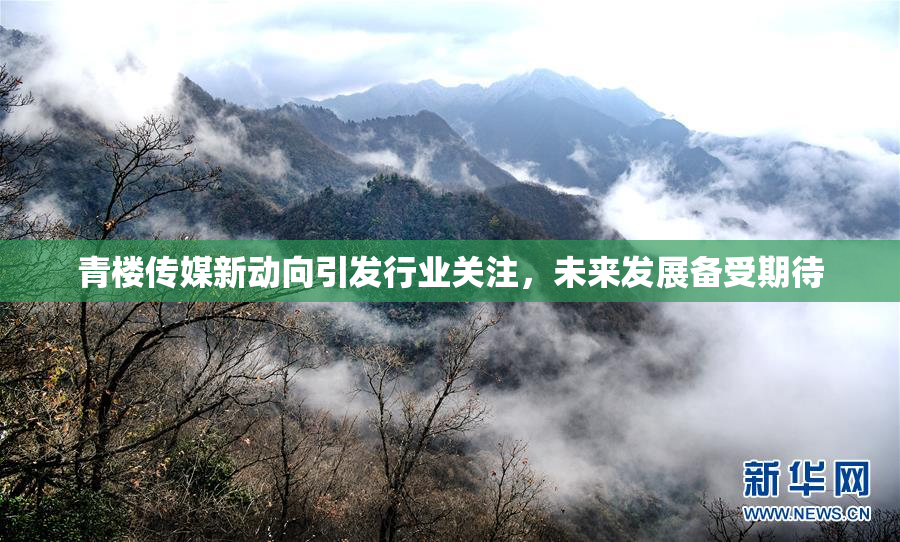 青楼传媒新动向引发行业关注，未来发展备受期待