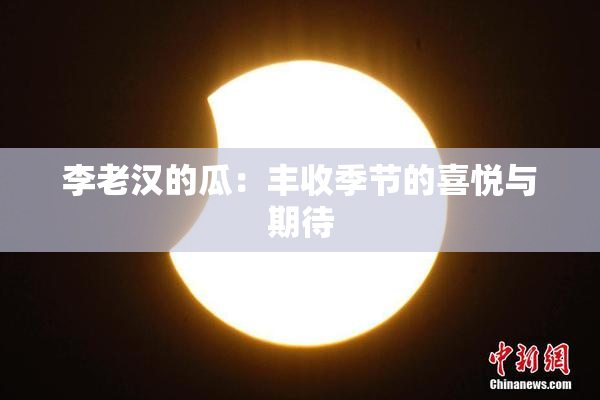 李老汉的瓜：丰收季节的喜悦与期待