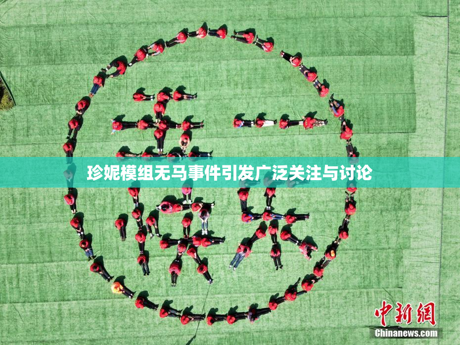 珍妮模组无马事件引发广泛关注与讨论