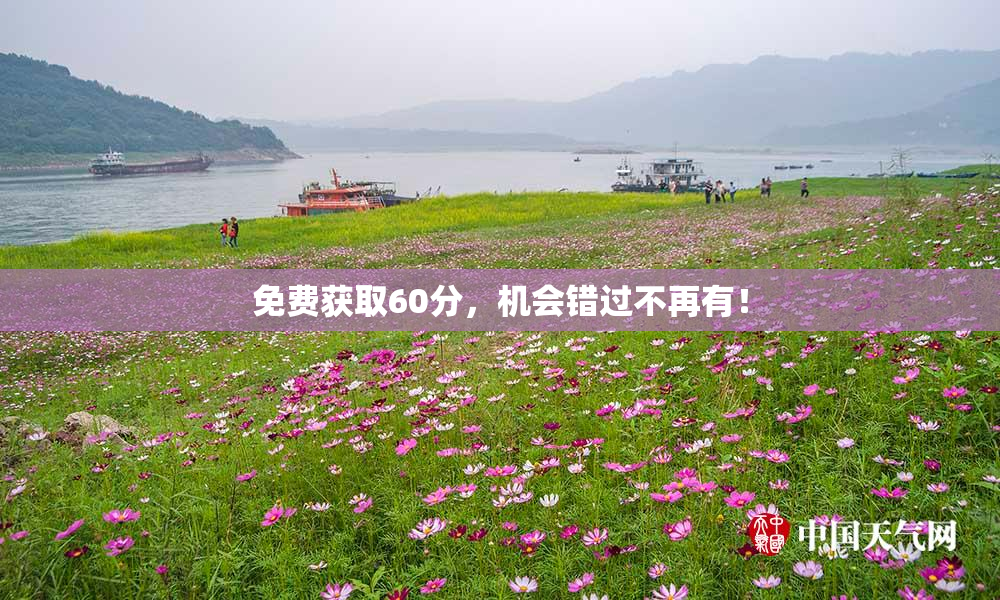 免费获取60分，机会错过不再有！