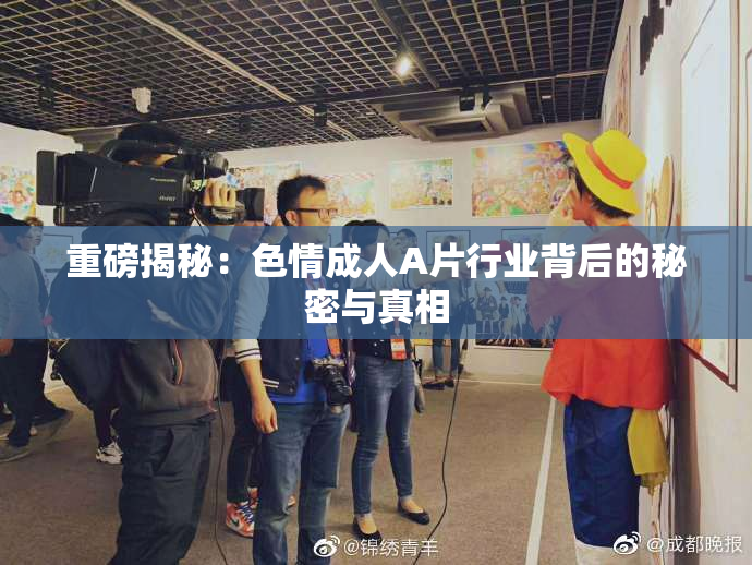 重磅揭秘：色情成人A片行业背后的秘密与真相