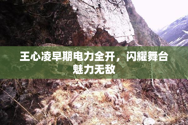 王心凌早期电力全开，闪耀舞台魅力无敌