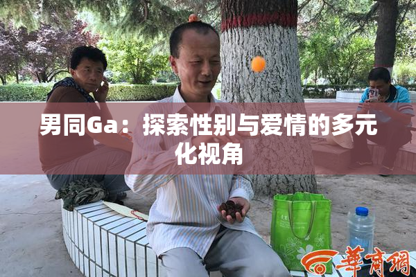 男同Ga：探索性别与爱情的多元化视角