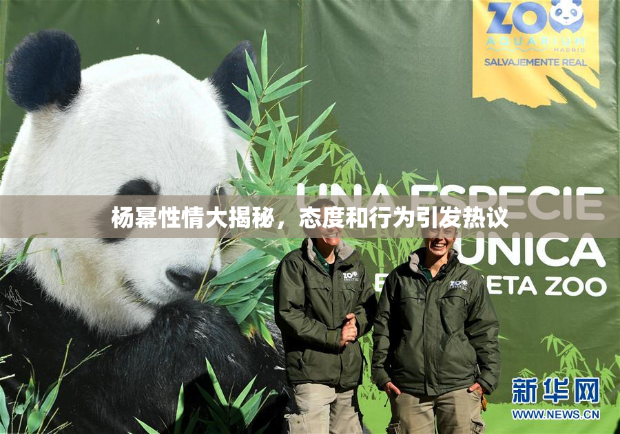杨幂性情大揭秘，态度和行为引发热议