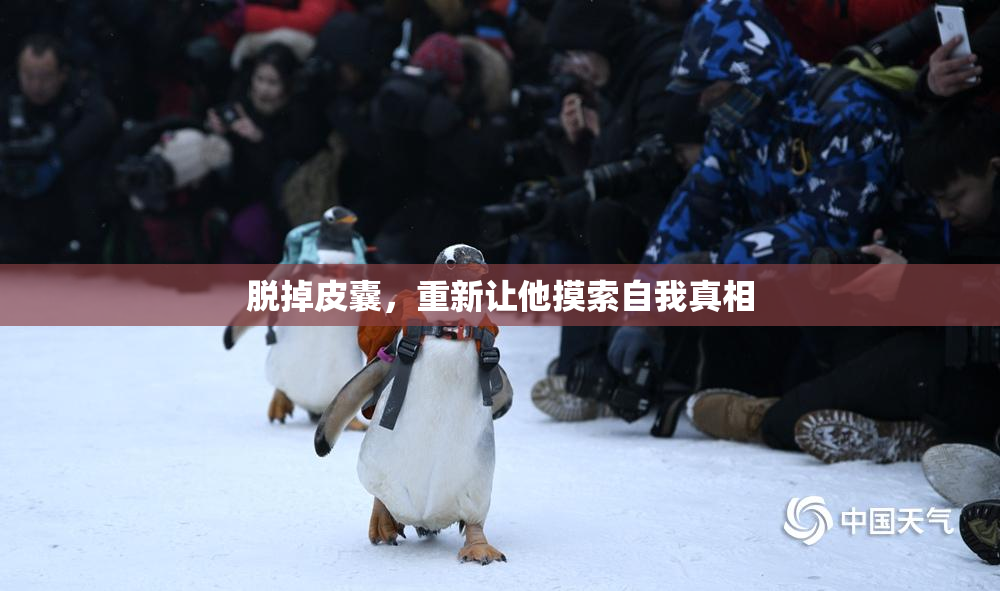 脱掉皮囊，重新让他摸索自我真相