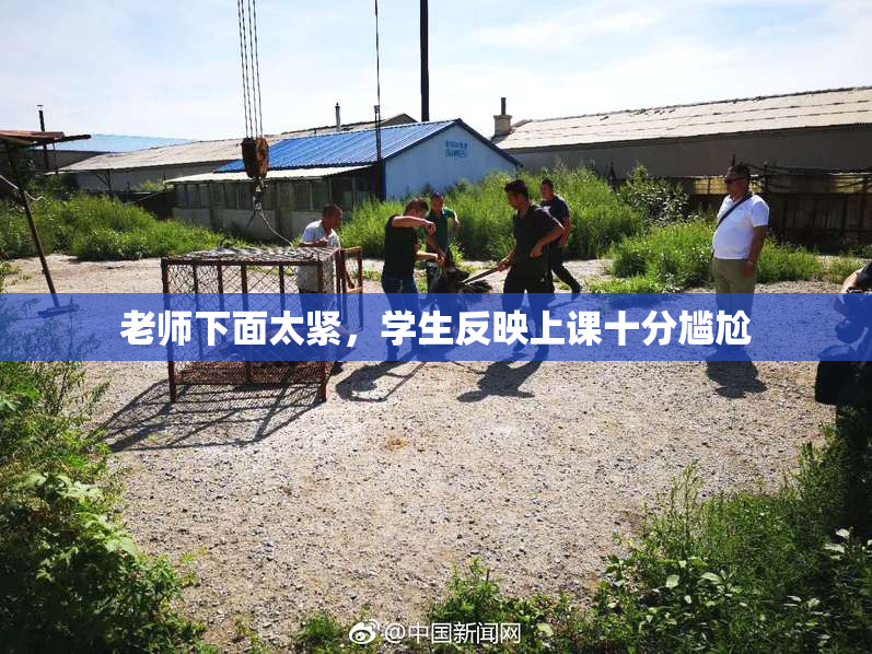 老师下面太紧，学生反映上课十分尴尬