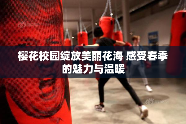 樱花校园绽放美丽花海 感受春季的魅力与温暖