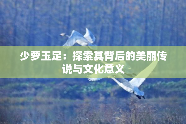 少萝玉足：探索其背后的美丽传说与文化意义