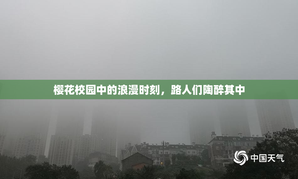 樱花校园中的浪漫时刻，路人们陶醉其中
