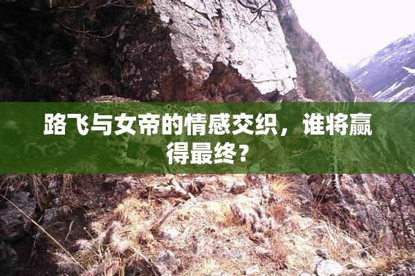 路飞与女帝的情感交织，谁将赢得最终？