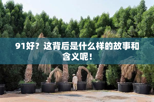 91好？这背后是什么样的故事和含义呢！