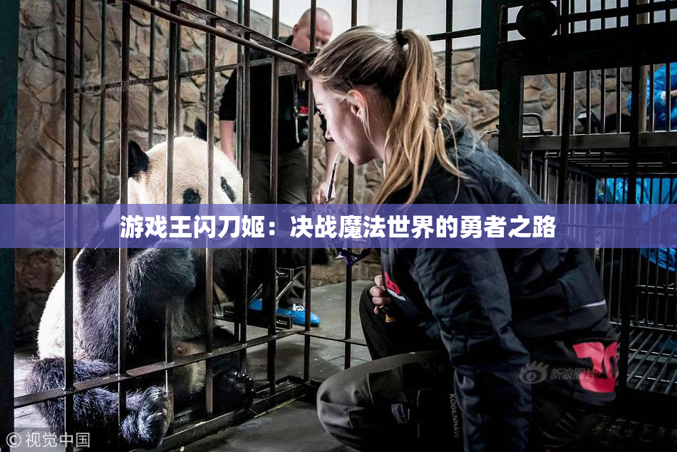 游戏王闪刀姬：决战魔法世界的勇者之路