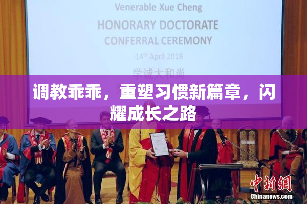 调教乖乖，重塑习惯新篇章，闪耀成长之路