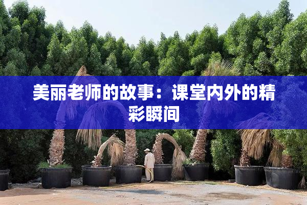 美丽老师的故事：课堂内外的精彩瞬间