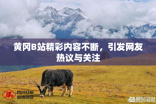 黄冈B站精彩内容不断，引发网友热议与关注