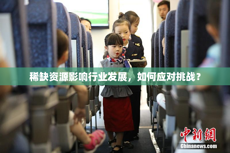 稀缺资源影响行业发展，如何应对挑战？