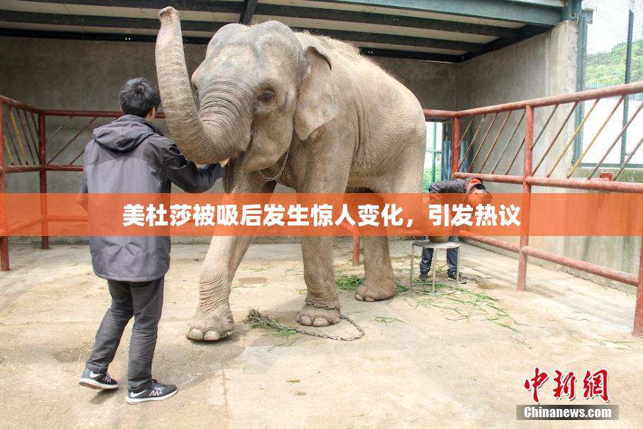 美杜莎被吸后发生惊人变化，引发热议
