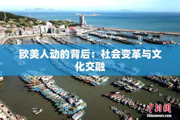 欧美人动的背后：社会变革与文化交融