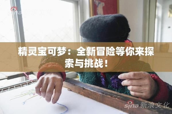 精灵宝可梦：全新冒险等你来探索与挑战！