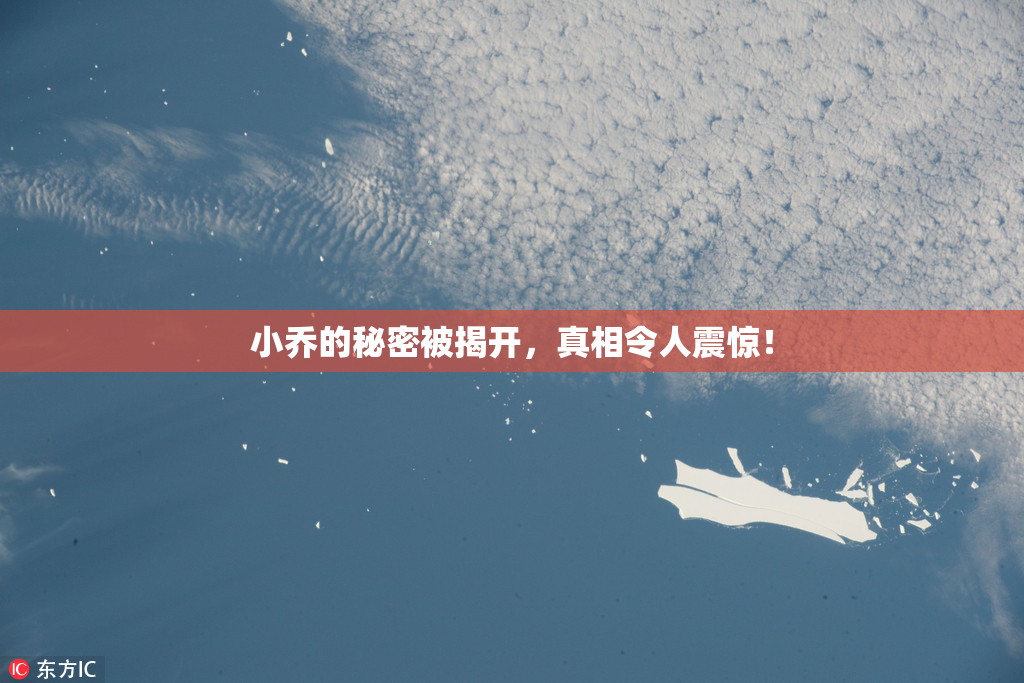 小乔的秘密被揭开，真相令人震惊！