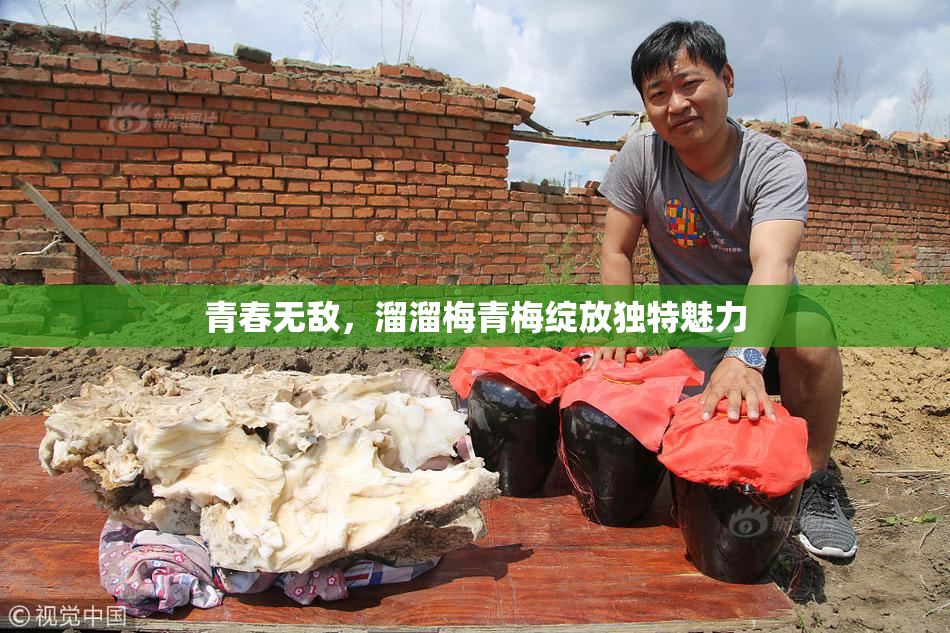 青春无敌，溜溜梅青梅绽放独特魅力