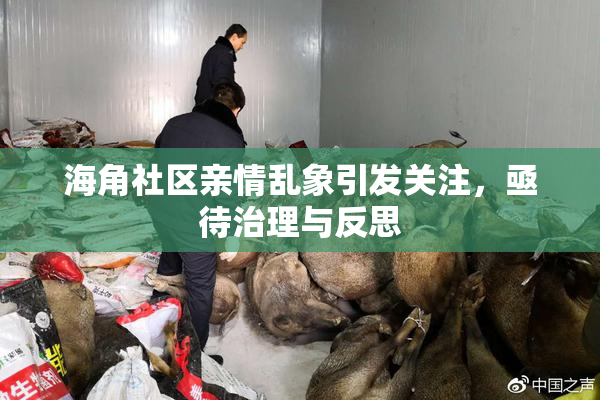 海角社区亲情乱象引发关注，亟待治理与反思