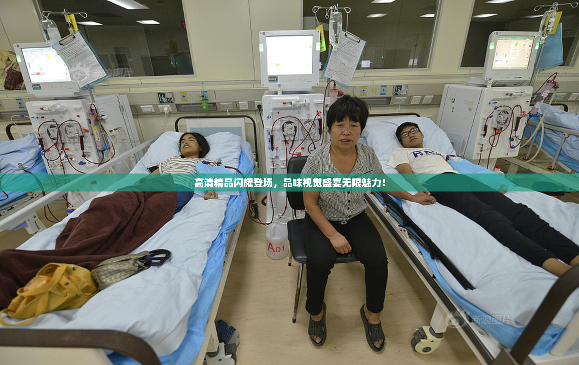 高清精品闪耀登场，品味视觉盛宴无限魅力！