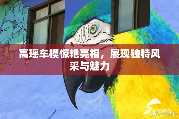 高瑶车模惊艳亮相，展现独特风采与魅力