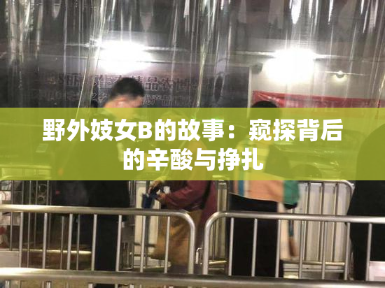 野外妓女B的故事：窥探背后的辛酸与挣扎