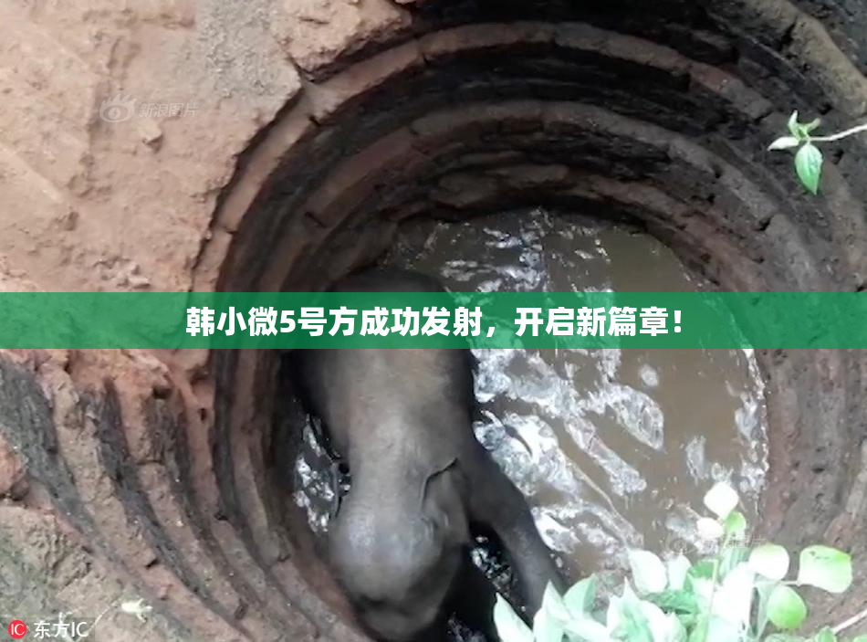 韩小微5号方成功发射，开启新篇章！