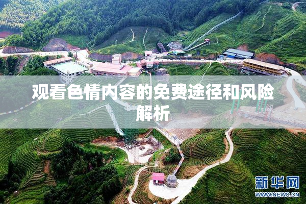观看色情内容的免费途径和风险解析