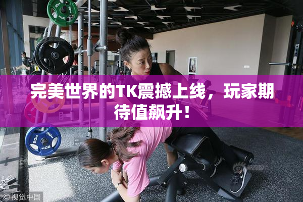 完美世界的TK震撼上线，玩家期待值飙升！