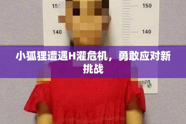 小狐狸遭遇H灌危机，勇敢应对新挑战
