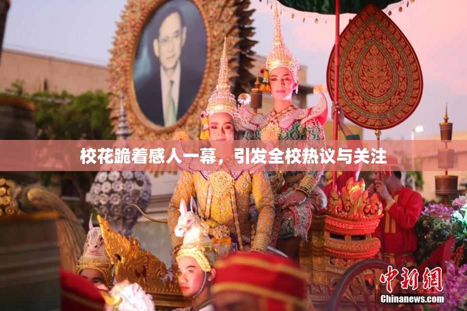 校花跪着感人一幕，引发全校热议与关注