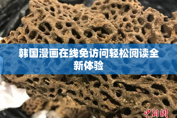 韩国漫画在线免访问轻松阅读全新体验