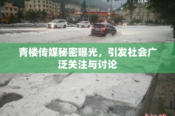青楼传媒秘密曝光，引发社会广泛关注与讨论