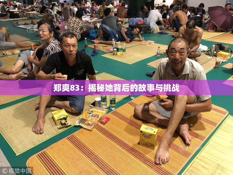 郑爽83：揭秘她背后的故事与挑战
