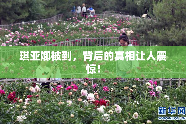 琪亚娜被到，背后的真相让人震惊！