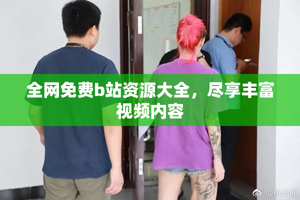 全网免费b站资源大全，尽享丰富视频内容