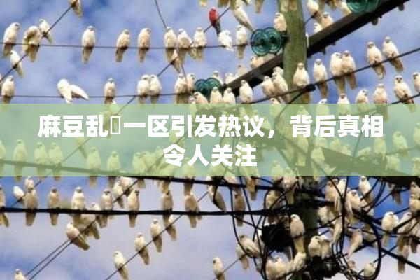 麻豆乱婬一区引发热议，背后真相令人关注
